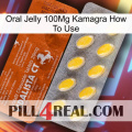 Oral Jelly 100Mg Kamagra How To Use 42